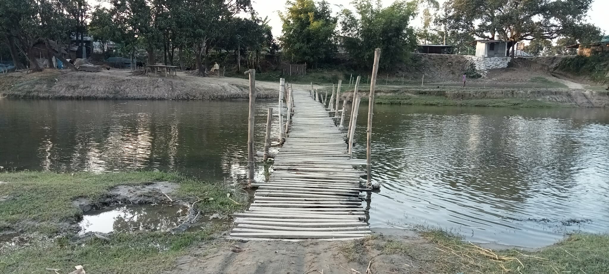 ঠাকুরগাঁওয়ের দশ গ্রামের মানুষের ঝুঁকিপূর্ণ   বাঁশের সাঁকোই একমাত্র ভরসা 